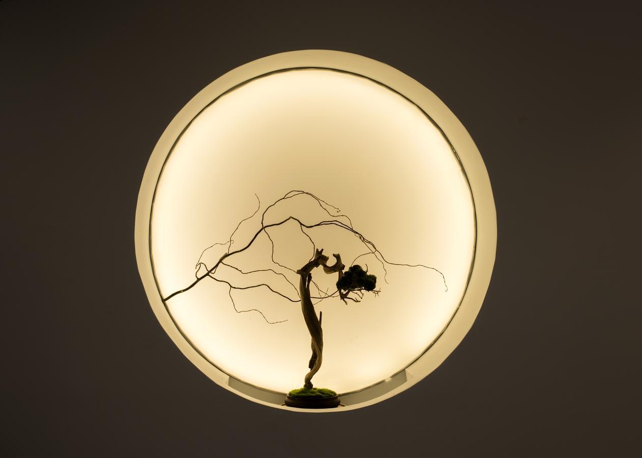 Zhangjiajie Yunxi Zen Hotel Kültér fotó